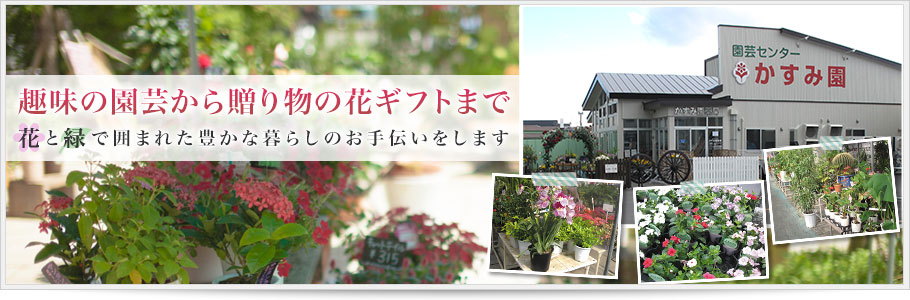 函館 花屋の園芸センター かすみ園 函館の豊富なお花屋さん